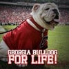 Fred Bossdawg O.